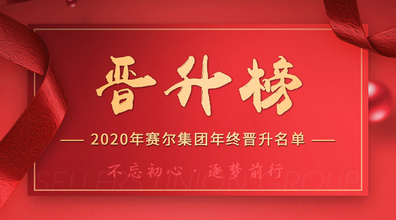 賽爾集團2020年終晉升榜